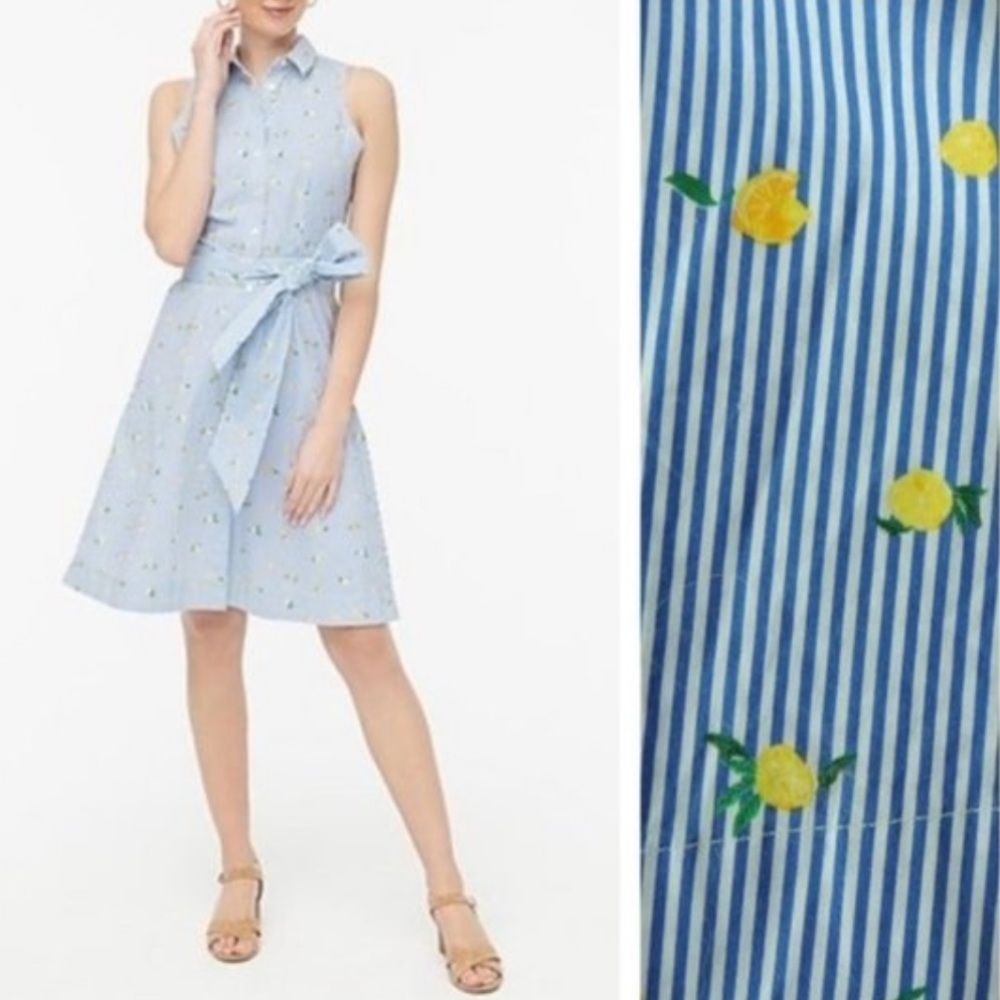 J. Crew Blue Stripe Lemon Print Button Down Tie Waist Shirt Dress